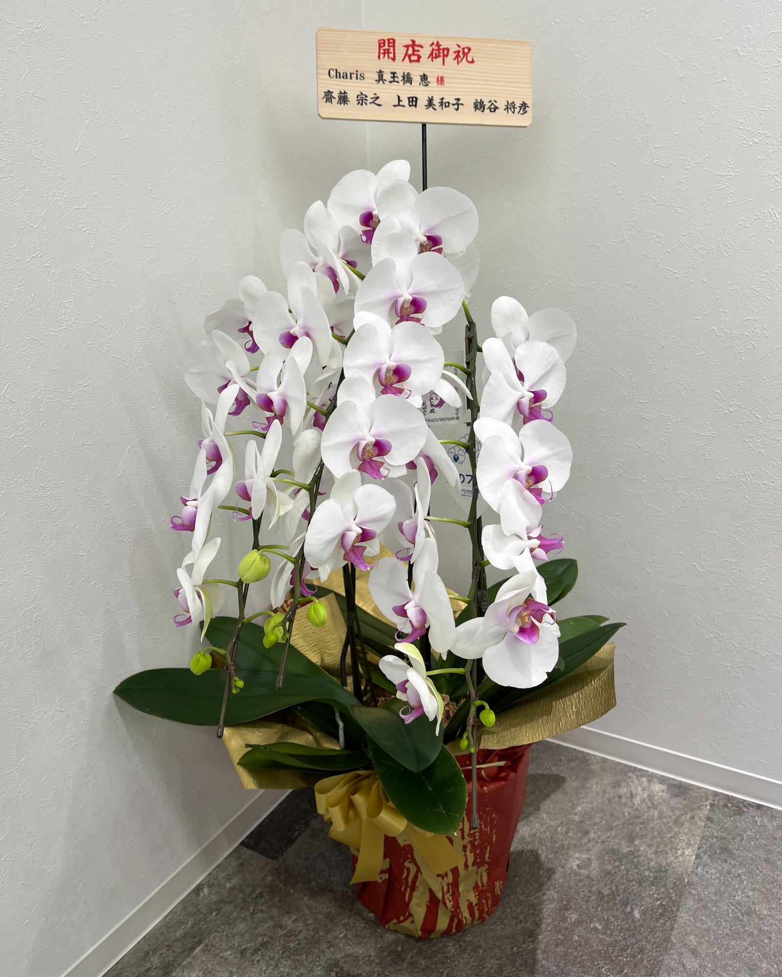 御開店祝い
